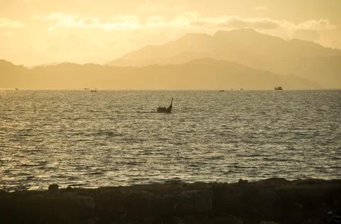 DSC 9229 스톡 사진