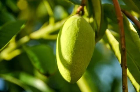 DSC 9280 Stock Photos