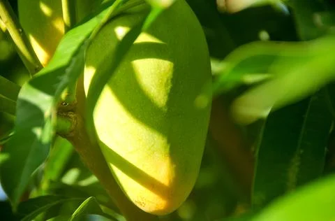 DSC 9282 스톡 사진