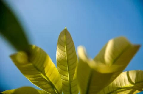 DSC 9298 Stock Photos