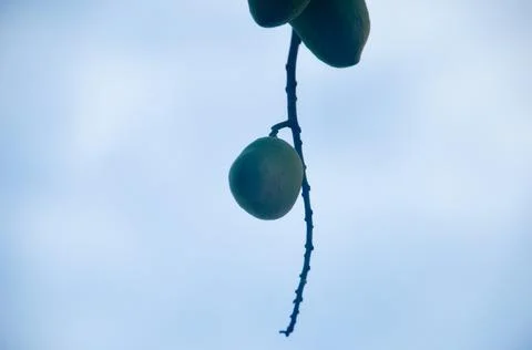 DSC 9302 Stock Photos