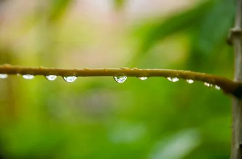 DSC 9364 Stock Photos