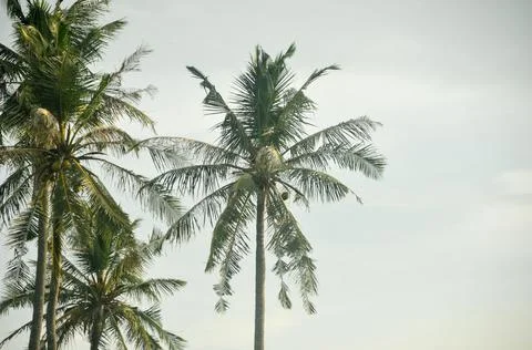 DSC 9378 스톡 사진