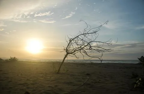 DSC 9381 Stock Photos