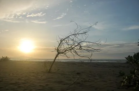 DSC 9382 Stock Photos