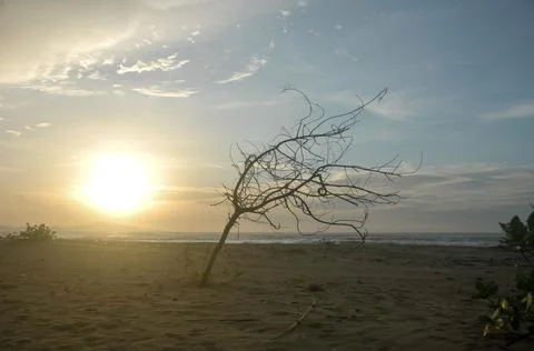 DSC 9384 Stock Photos