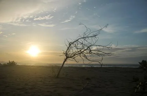 DSC 9385 Stock Photos