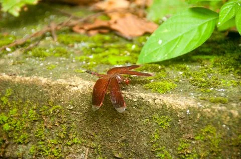 DSC 9451 스톡 사진