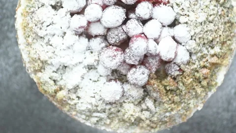 DSC 9504 29 Stock Footage 149240066