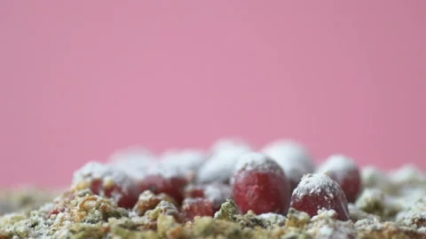 DSC 9504 5 Video stock 149237401