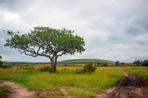 DSC 9858 Stock Photos
