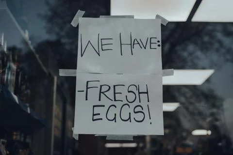 DSC00092 Stock Photos