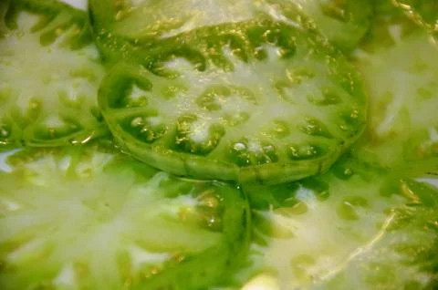  DSC0011 Stock Photos