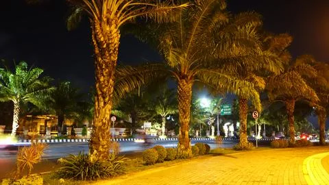 DSC00332 写真素材