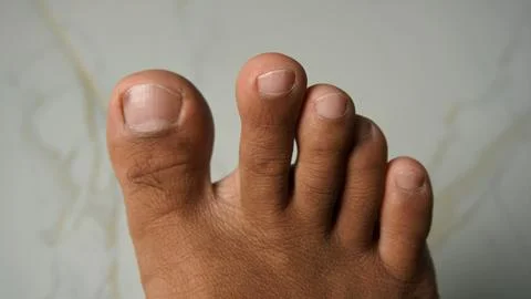 DSC00394 Stock Photos