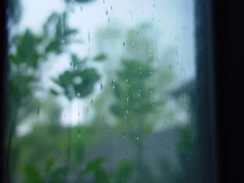 Dsc00435 Stock Photos