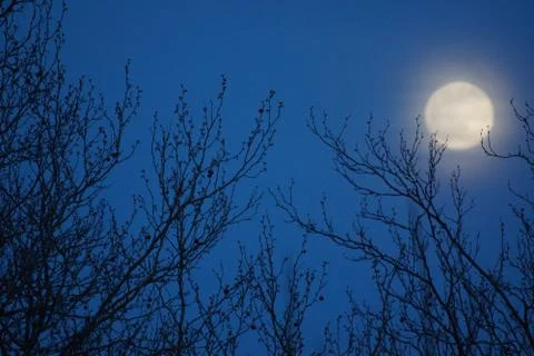 DSC00937 Stock Photos