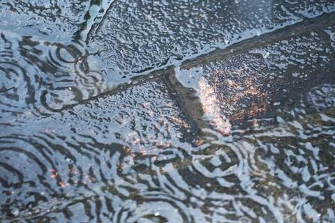 DSC01122 Stock Photos