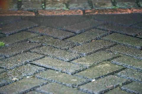 DSC01123 Stock Photos