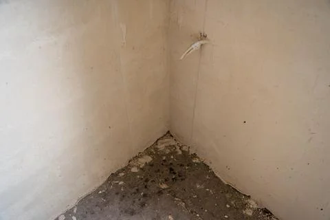 DSC011231 Stock Photos