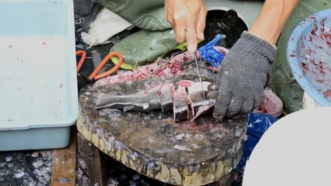 DSC0128~2 動画素材 224123850