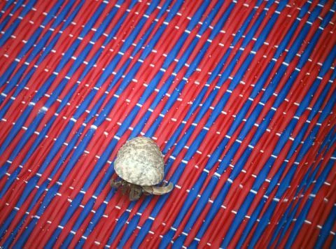 DSC01504 Stock Photos