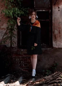 DSC02029 Stock Photos