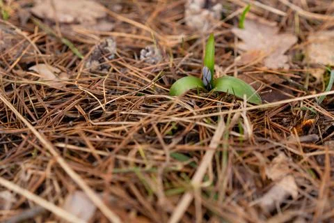 DSC02151 Stock Photos