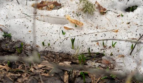 DSC02156 Stock Photos