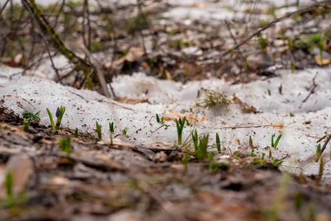 DSC02157 Stock Photos