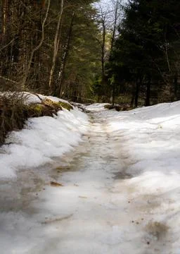 DSC02159 Stock Photos