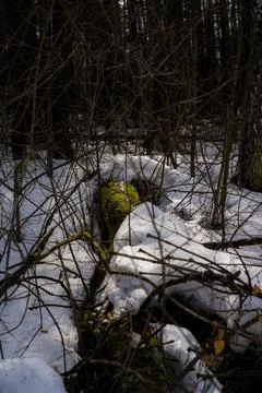 DSC02161 Stock Photos