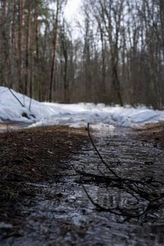 DSC02166 Stock Photos