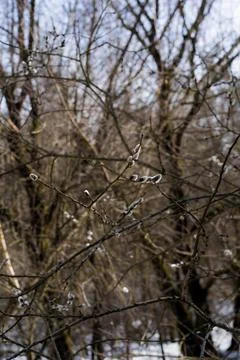 DSC02168 Stock Photos