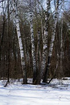 DSC02170 Stock Photos