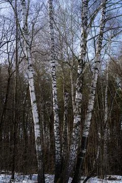 DSC02171 Stock Photos