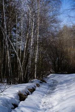 DSC02172 Stock Photos