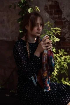 DSC02186 Stock Photos