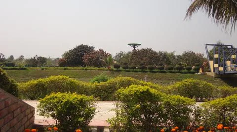 DSC02195 Stockfoto's