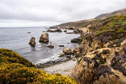 DSC03024 Stock Photos