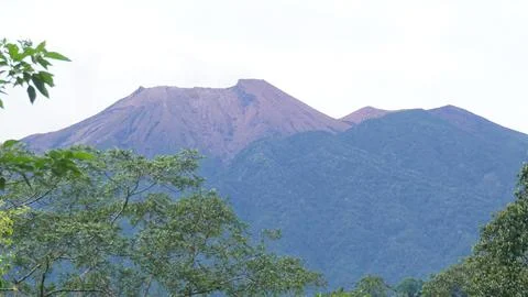 DSC03031 Stock Photos