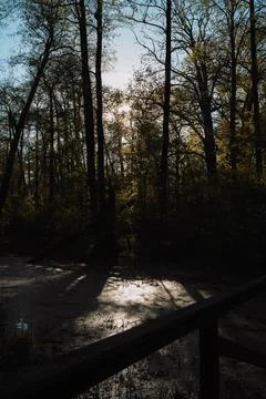 DSC03265 Stock Photos