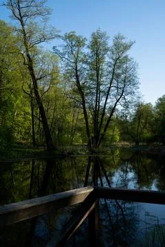 DSC03269 Stock Photos