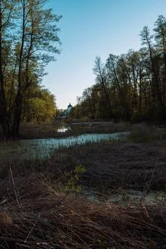 DSC03277 Stock Photos