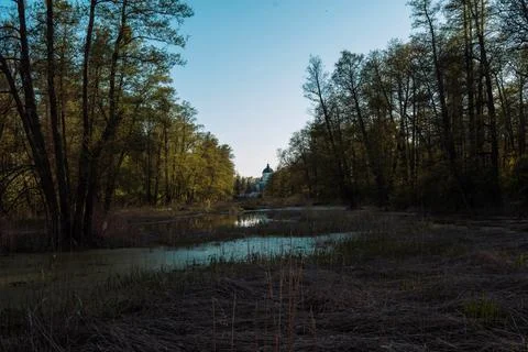 DSC03279 Stock Photos