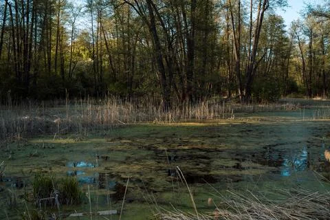 DSC03281 Stock Photos