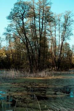 DSC03283 Stock Photos