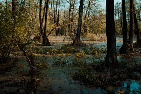 DSC03285 Stock Photos