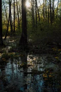 DSC03288 Stock Photos