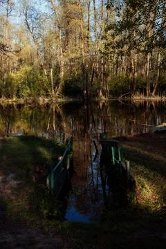 DSC03293 Stock Photos